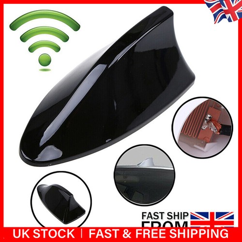 Universal car black - black, shark
